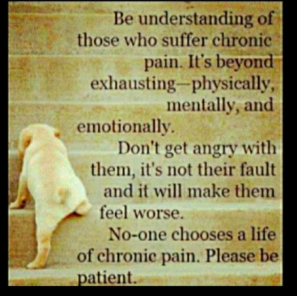 βοΈ GREY CREW SWEATSHIRT Sz XL/2Xπ UNISEX VNVC - Picture 11 of 14